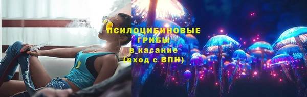 гидропоника Богданович