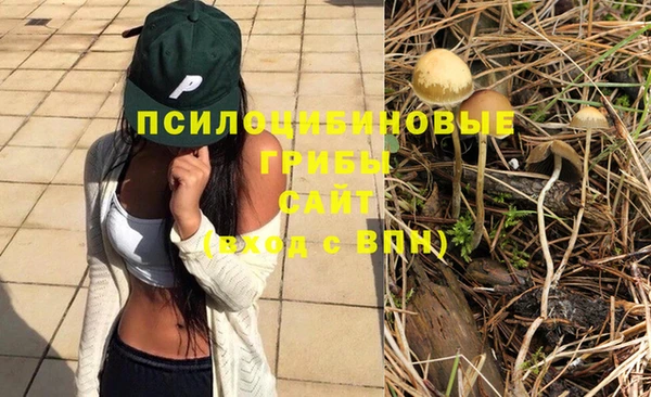 гидропоника Богданович