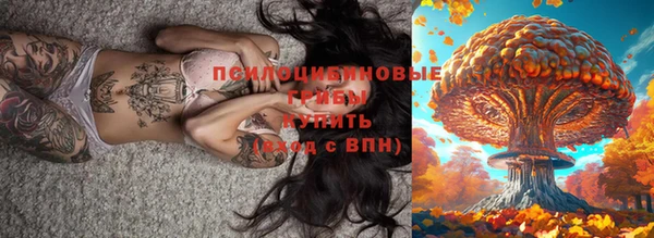 гидропоника Богданович