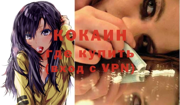 гидропоника Богданович