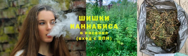тгк Богородицк