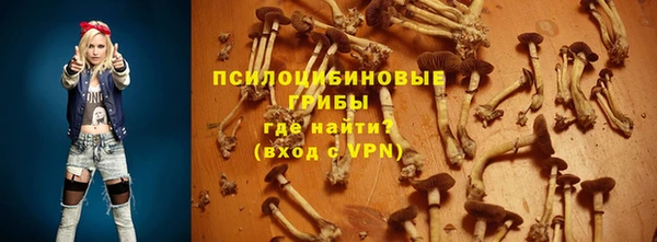 MDMA Белокуриха
