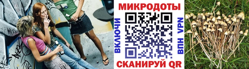 Галлюциногенные грибы Magic Shrooms  ОМГ ОМГ ссылка  Горячий Ключ 